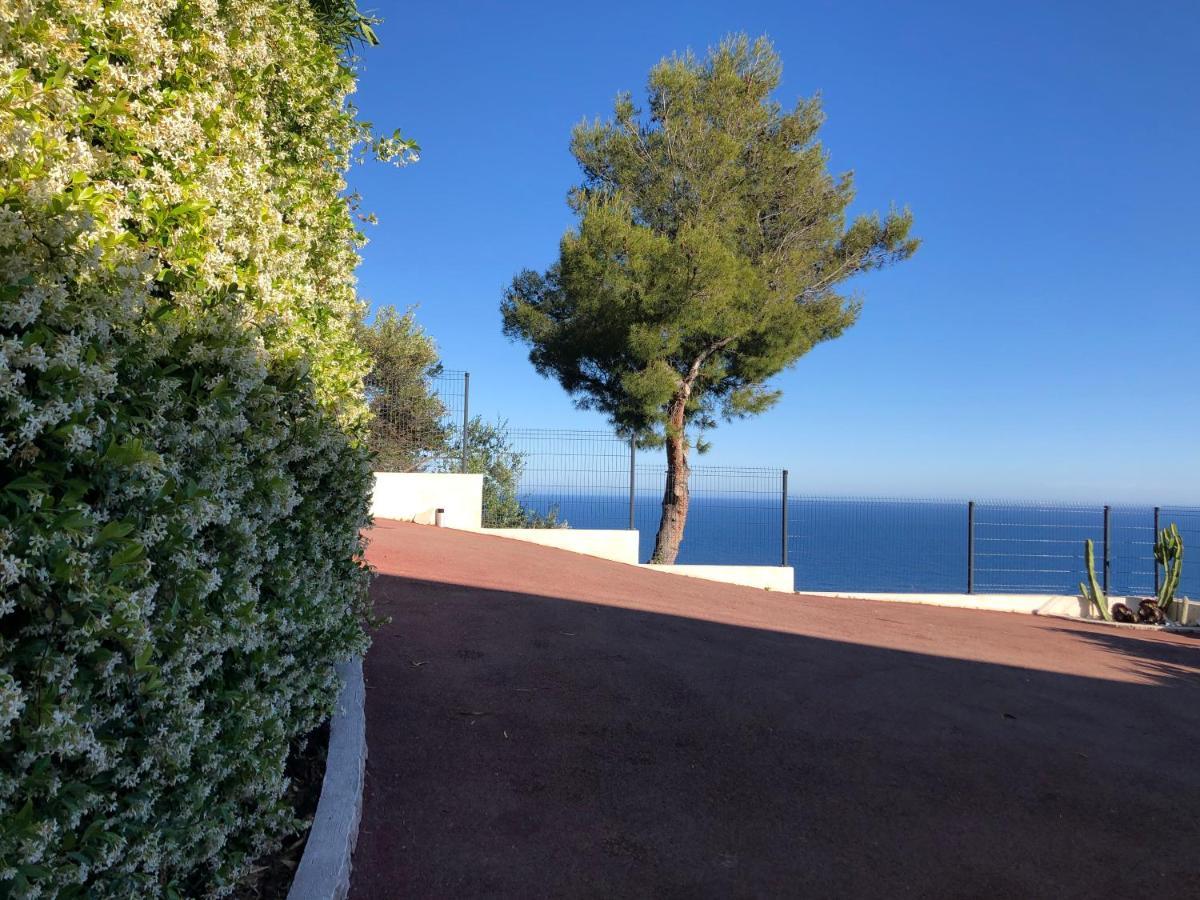Vue Mer.tranquilite.cap D'ail A 10 Mn De Monaco Apartment