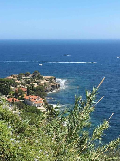 Vue Incroyable Aux Portes De Monaco Apartment *